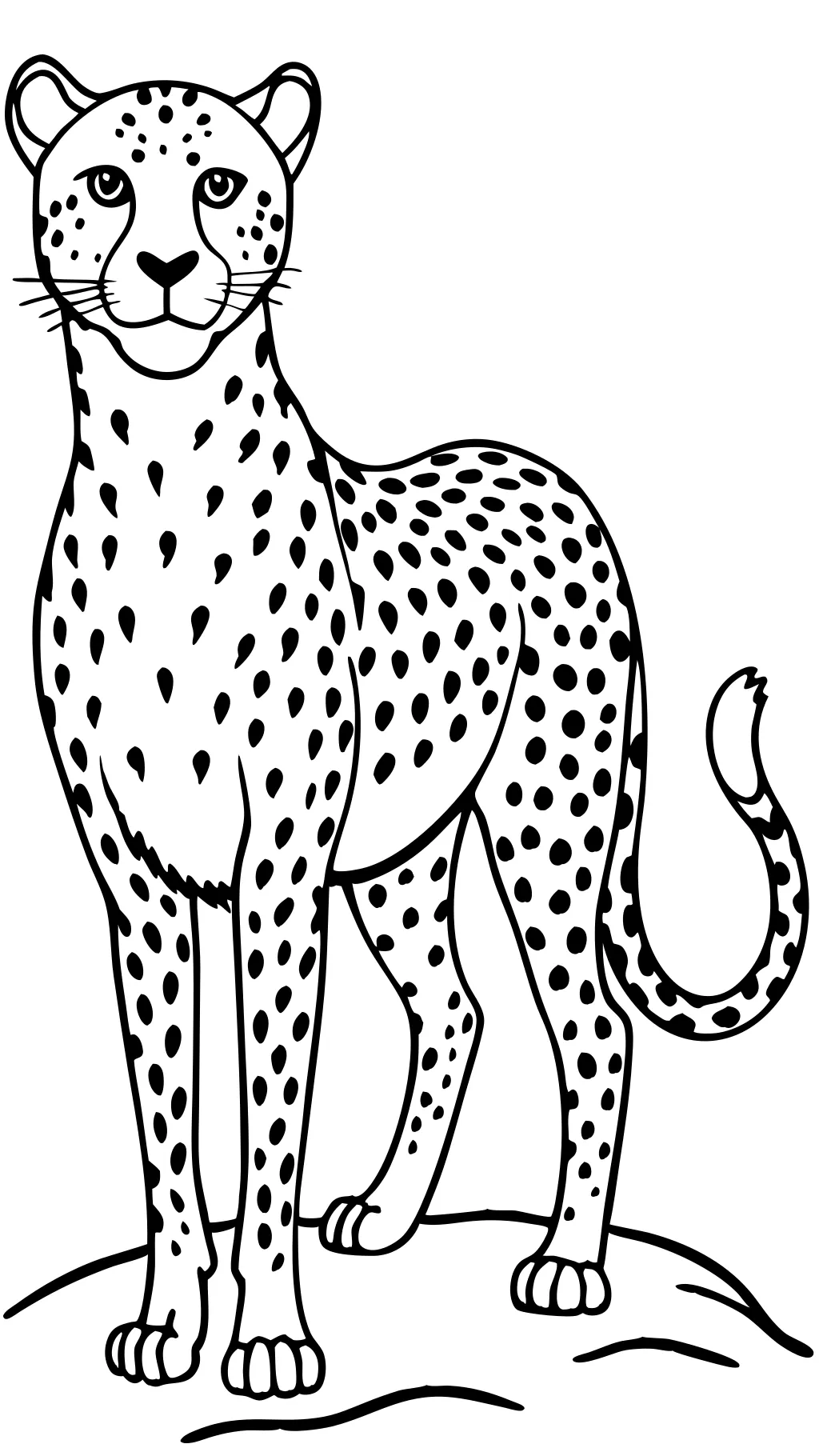 realistic cheetah coloring pages